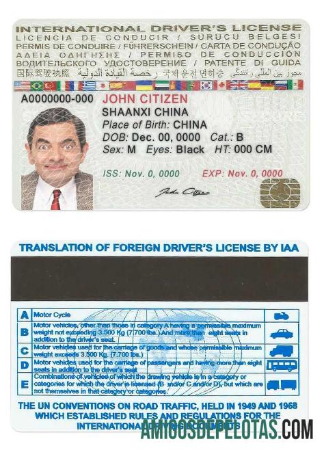 International driverΓÇÖs لائسنس ماک اپ