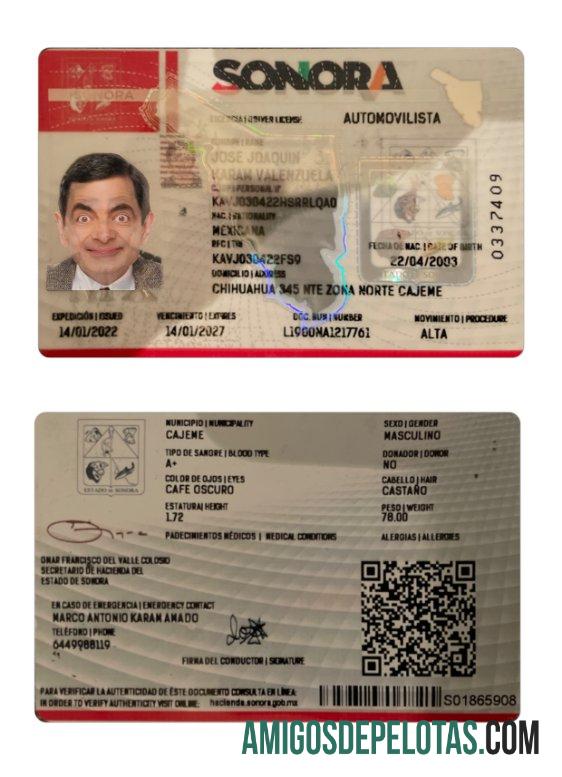 میکسیکو Sonora state ڈرائیونگ لائسنس ڈیزائن