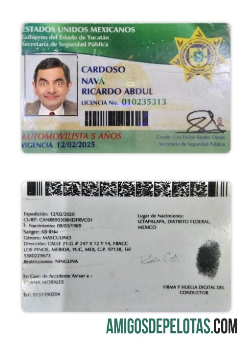 میکسیکو Yucatan state ڈرائیونگ لائسنس نمونہ