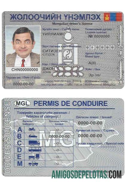 منگولیا ڈرائیونگ لائسنس ماک اپ