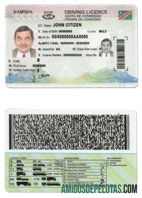 نمیبیا ڈرائیونگ لائسنس پیش نظارہ