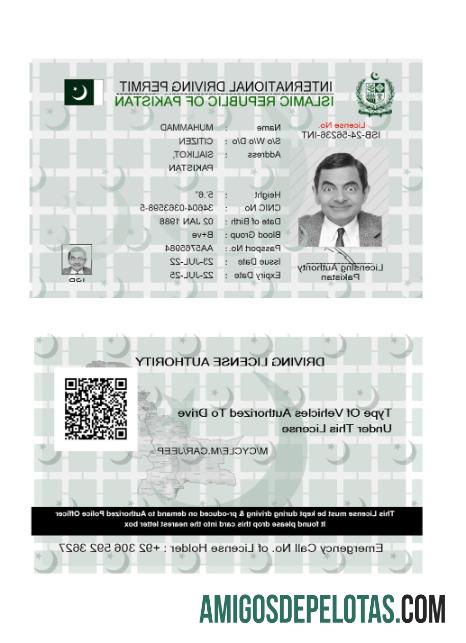 پاکستان international ڈرائیونگ لائسنس 2022 موجودہ ماک اپ