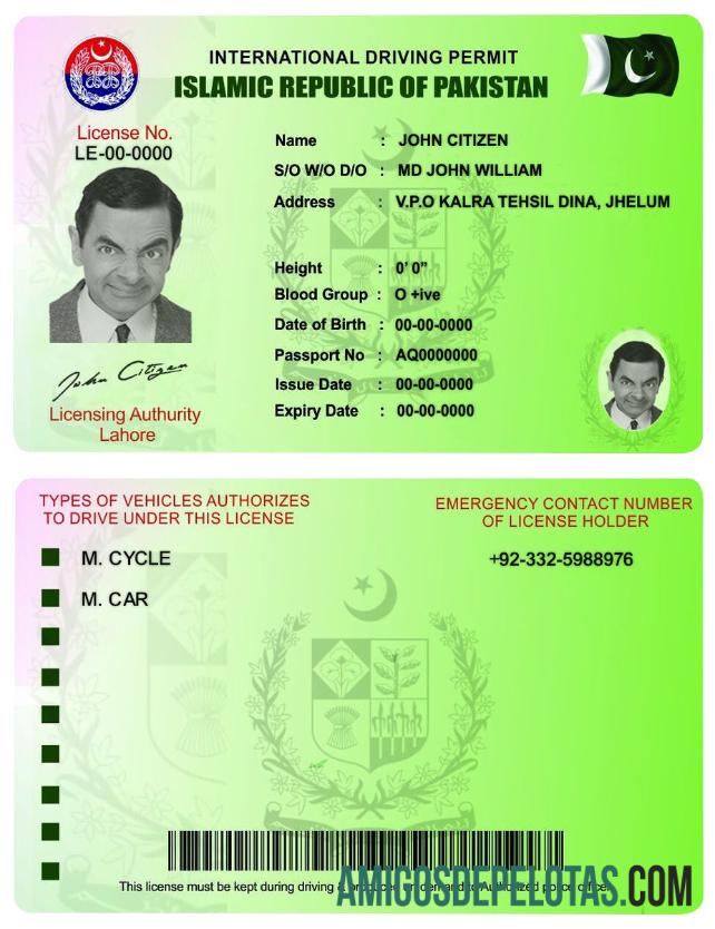 پاکستان international ڈرائیونگ اجازت پیش نظارہ