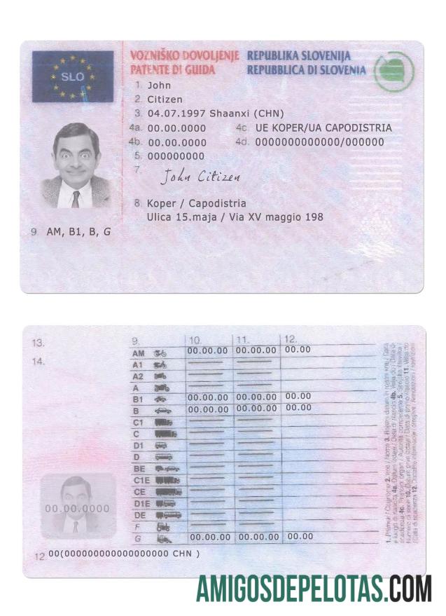 سلووینیا ڈرائیونگ لائسنس نمونہ