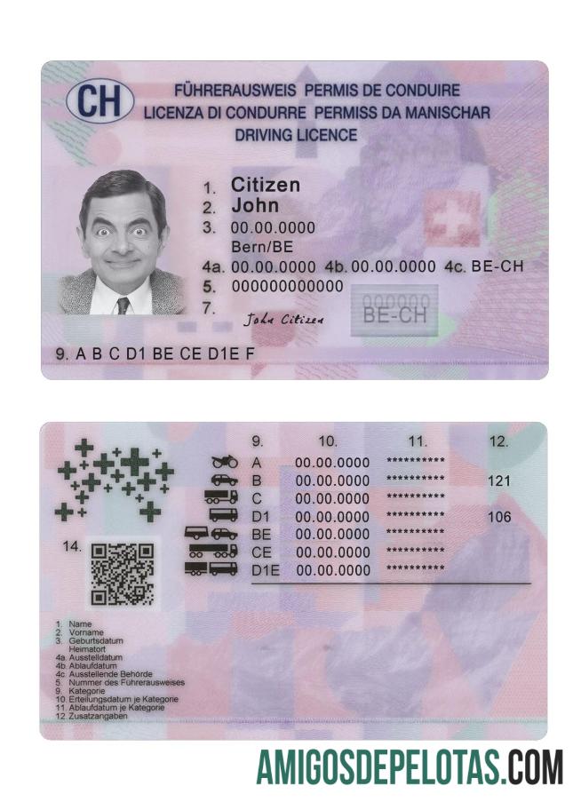 سوئٹزرلینڈ ڈرائیونگ لائسنس 2023 موجودہ پیش نظارہ