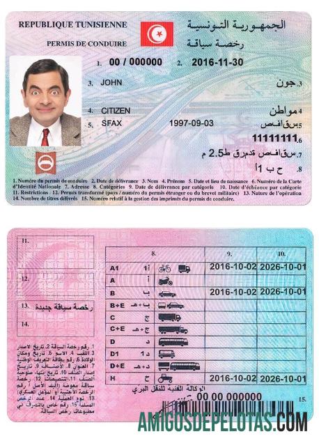تیونس ڈرائیونگ لائسنس پیش نظارہ