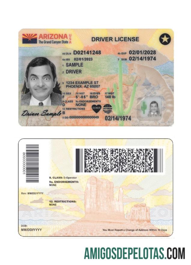 امریکہ Arizona ڈرائیونگ لائسنس 2023 موجودہ ٹیمپلیٹ