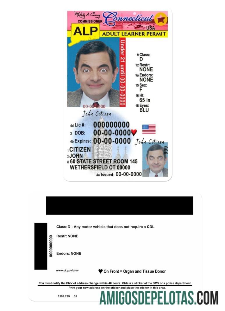 امریکہ Connecticut ڈرائیونگ لائسنس under 21 ماک اپ