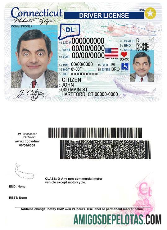 امریکہ Connecticut ڈرائیونگ لائسنس ماک اپ