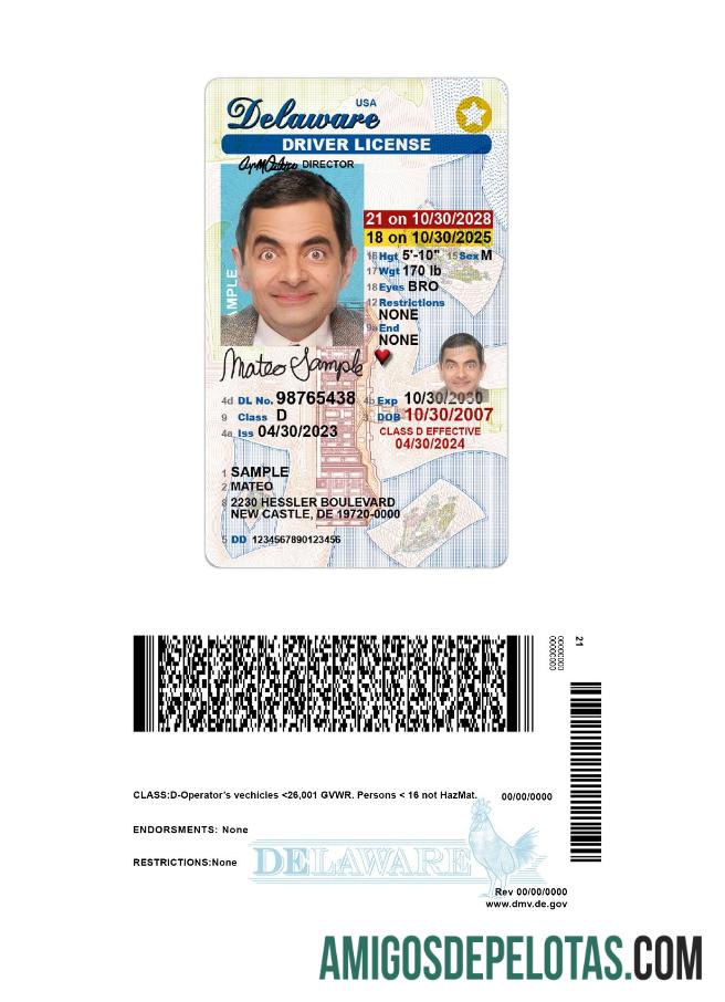 امریکہ Delaware under 21 ڈرائیونگ لائسنس ماک اپ