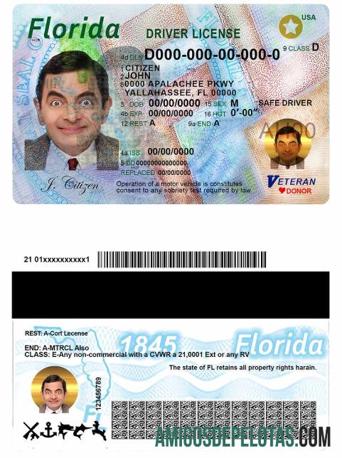 امریکہ Florida ڈرائیونگ لائسنس ماک اپ