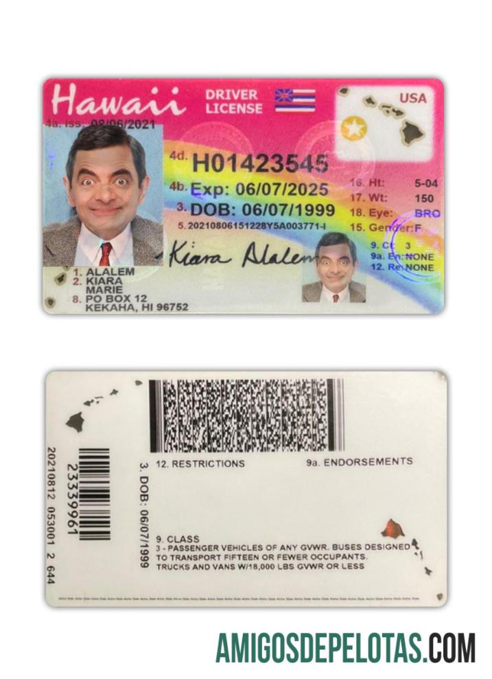 امریکہ Hawaii ڈرائیونگ لائسنس 2021 موجودہ پیش نظارہ