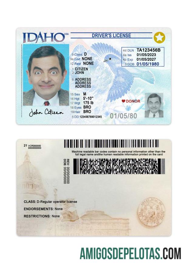 امریکہ Idaho ڈرائیونگ لائسنس 2023 موجودہ ڈیزائن