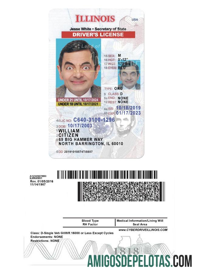 امریکہ Illinois ڈرائیونگ لائسنس under 21 نمونہ