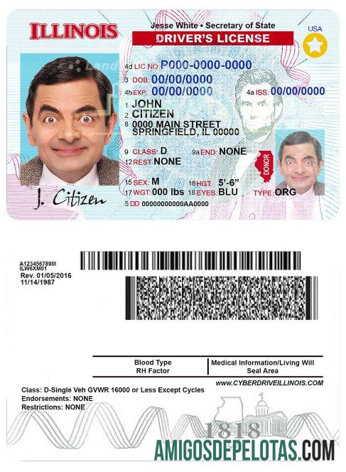 امریکہ Illinois ڈرائیونگ لائسنس ٹیمپلیٹ