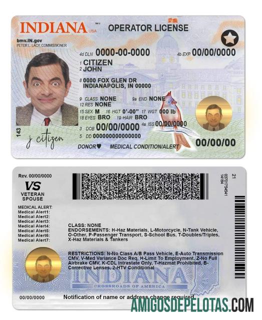 پیشہ ورانہ امریکہ Indiana ڈرائیونگ (operator) لائسنس ٹیمپلیٹ(2019 ΓÇô موجودہ)