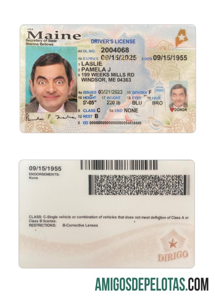 امریکہ Maine ڈرائیونگ لائسنس 2023 موجودہ پیش نظارہ