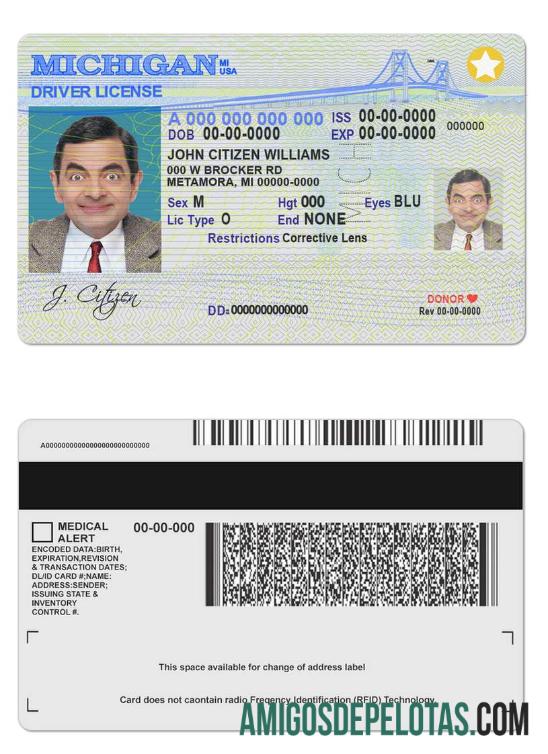 امریکہ Michigan ڈرائیونگ لائسنس نمونہ