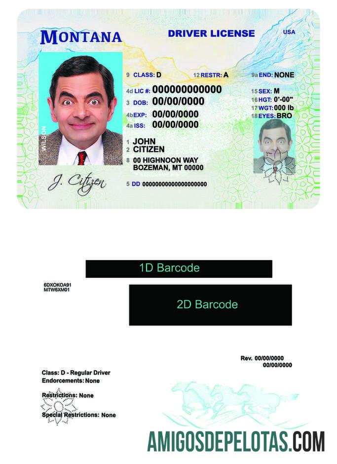 امریکہ Montana ڈرائیونگ لائسنس نمونہ