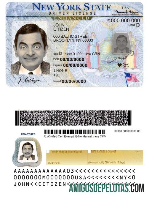 امریکہ نیا York DL پیش نظارہ