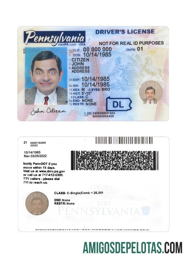 امریکہ Pennsylvania ڈرائیونگ لائسنس 2024 موجودہ پیش نظارہ