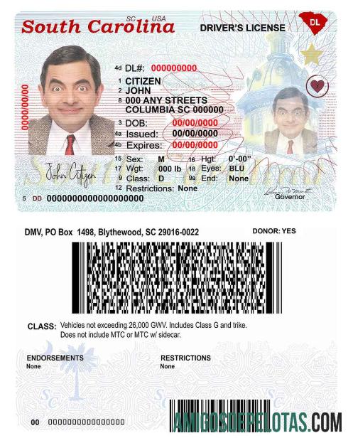 امریکہ South Carolina state ڈرائیونگ لائسنس (2020 ΓÇô موجودہ) پیش نظارہ