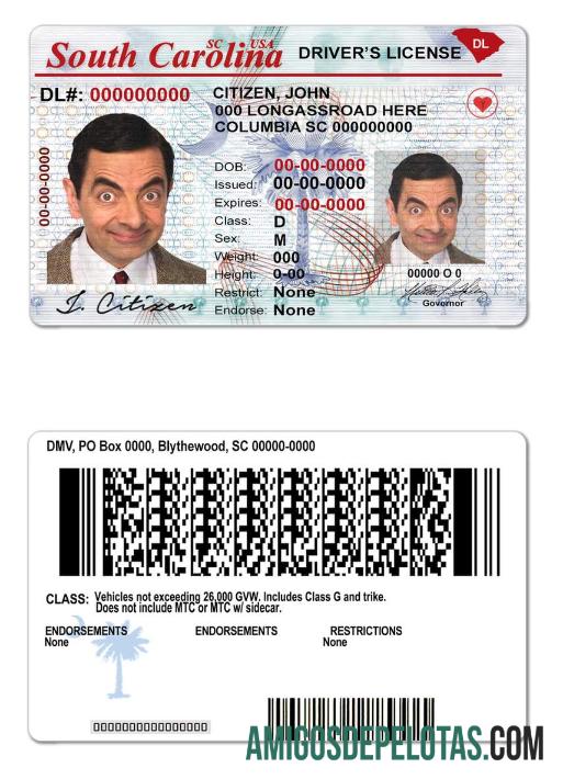 امریکہ South Carolina state ڈرائیونگ لائسنس نمونہ