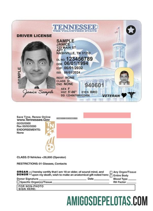 امریکہ Tennessee ڈرائیونگ لائسنس 2024 موجودہ ماک اپ
