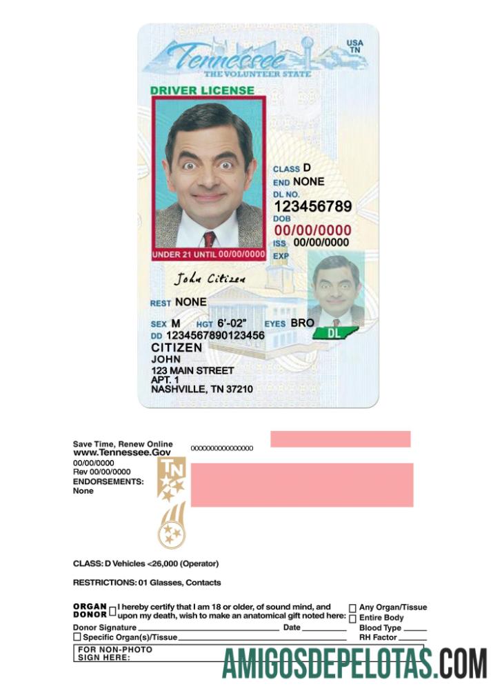 امریکہ Tennessee ڈرائیونگ لائسنس under 21 نمونہ
