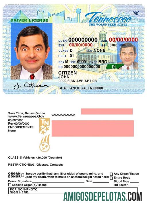 امریکہ Tennessee ڈرائیونگ لائسنس ڈیزائن