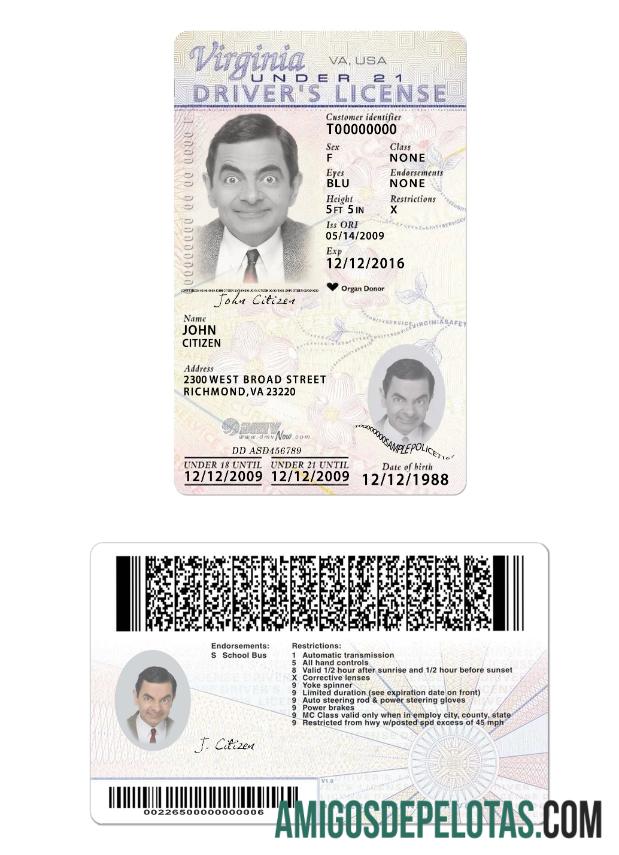 امریکہ Virginia ڈرائیونگ لائسنس under 21 2009 موجودہ پیش نظارہ
