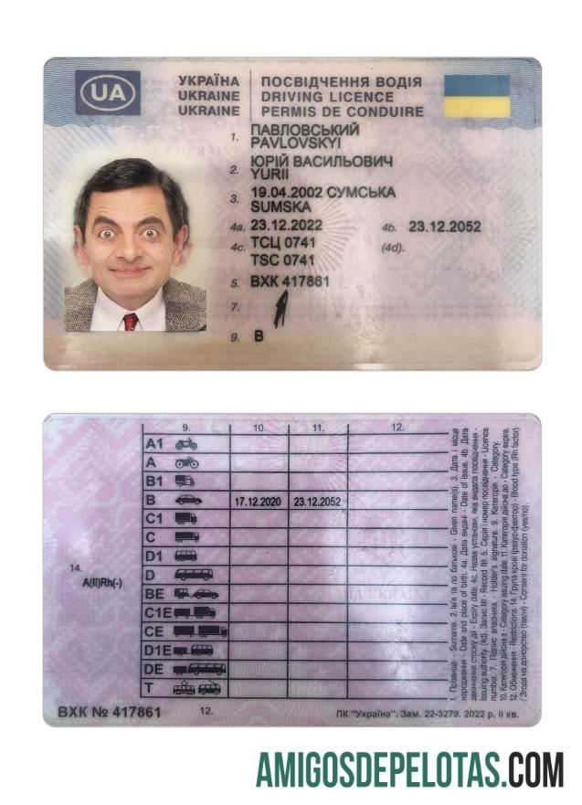 یوکرین ڈرائیونگ لائسنس 2022 موجودہ ماک اپ