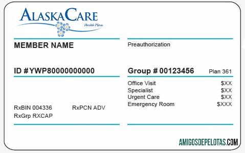 Alaska kesehatan asuransi kartu sampel
