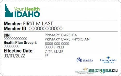 Idaho kesehatan asuransi kartu sampel