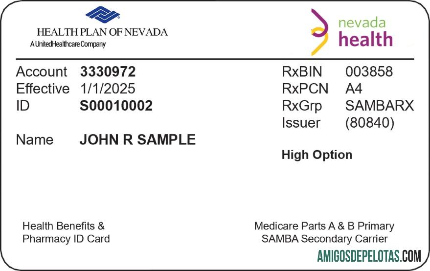 Nevada kesehatan asuransi kartu makering