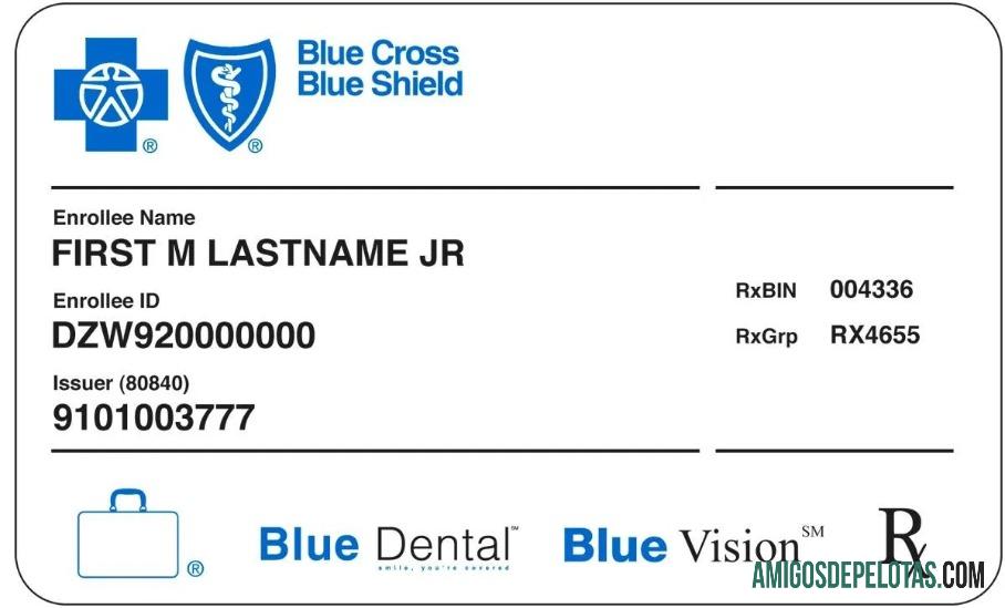 AS biru Cross biru Shield kesehatan asuransi kartu desain