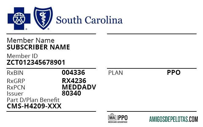 AS South Carolina kesehatan asuransi kartu desain
