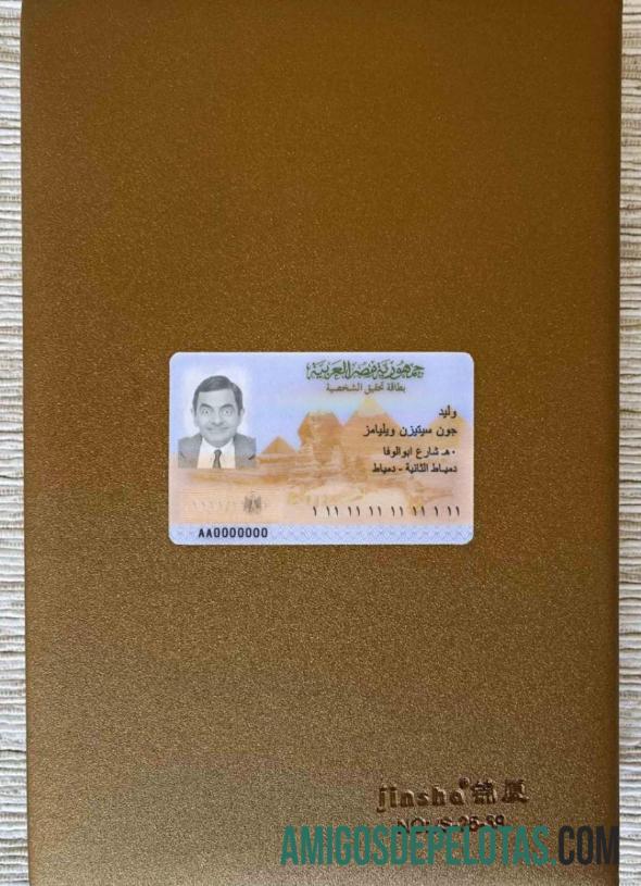 مصر شناختی فوٹو لک سامنے نمونہ