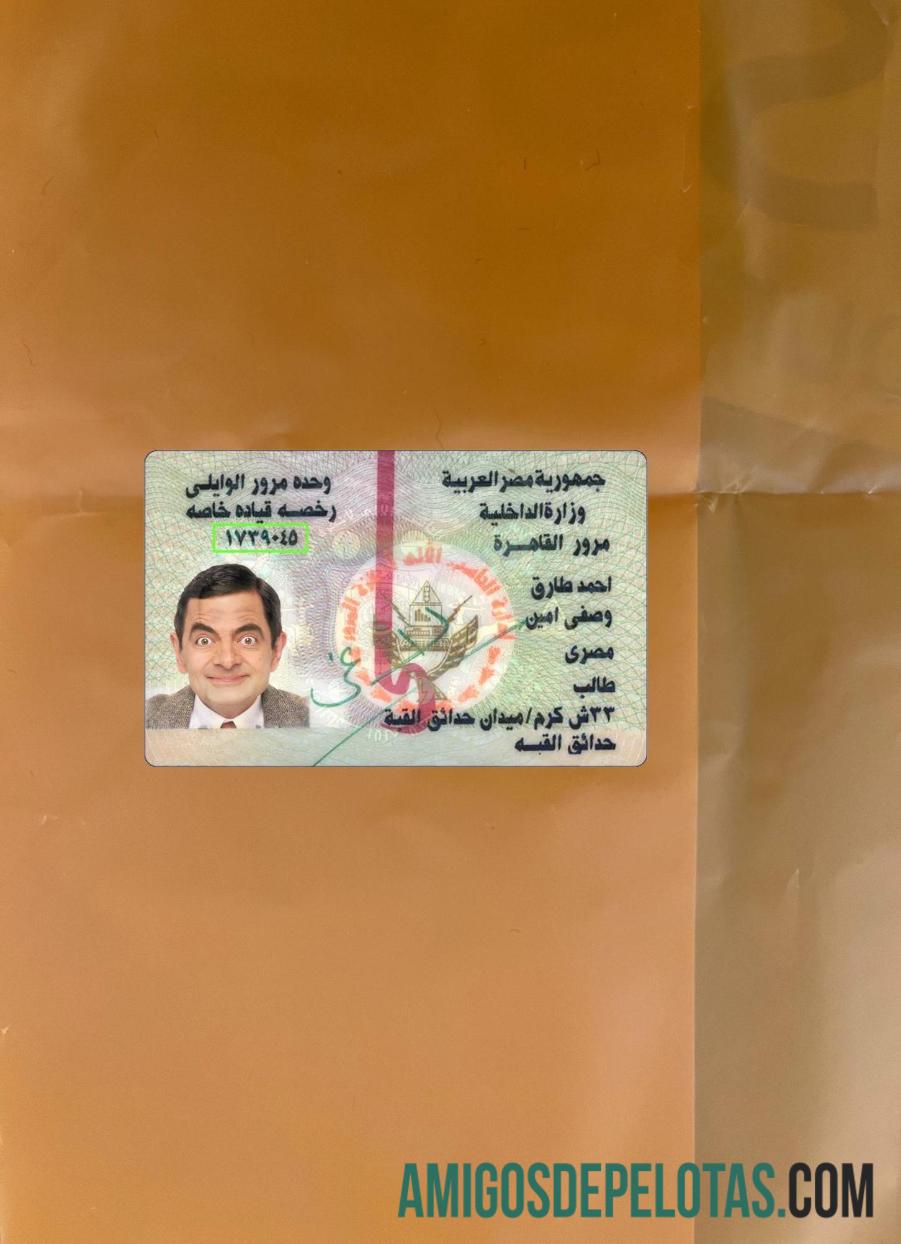 مصر شناختی ورژن 2 فوٹو لک سامنے نمونہ