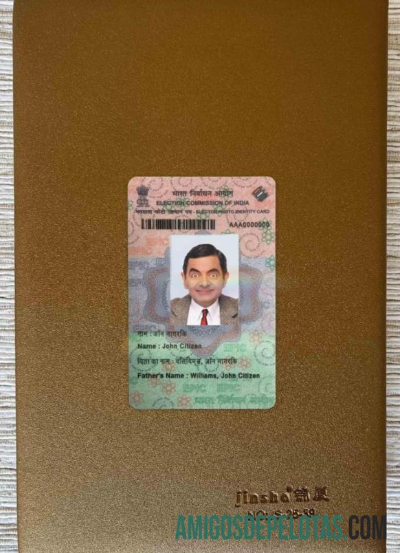 بھارت Election شناختی WIth fonts فوٹو لک سامنے ماک اپ