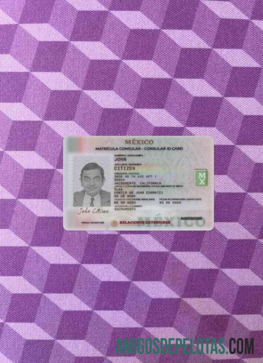 میکسیکو Consular شناختی کارڈ فوٹو لک سامنے پیش نظارہ