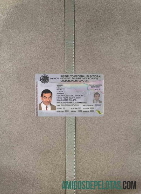 میکسیکو شناختی فوٹو لک سامنے نمونہ