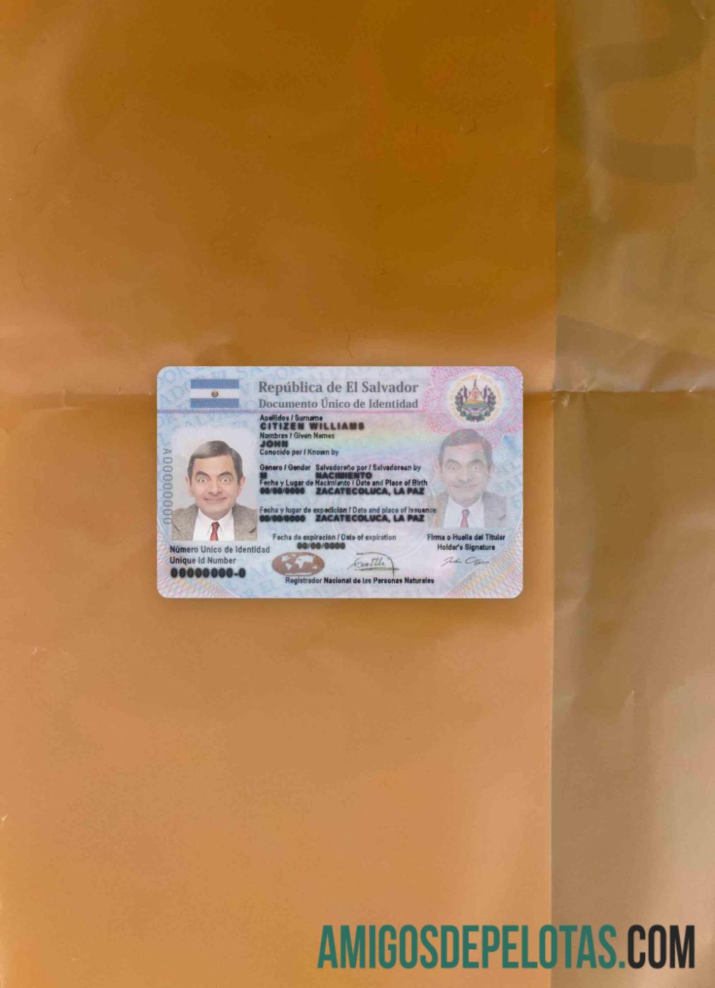 Salvador شناختی فوٹو لک سامنے ڈیزائن