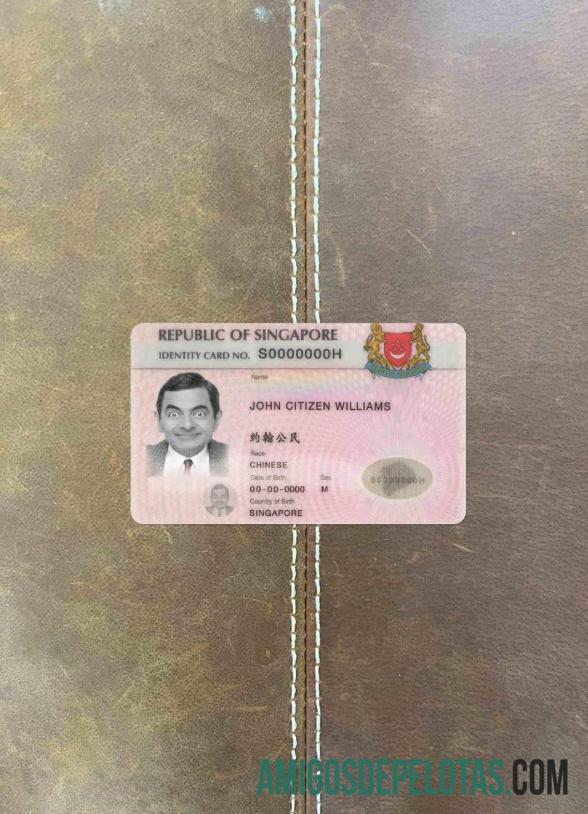 سنگاپور شناختی (updated) فوٹو لک سامنے ماک اپ