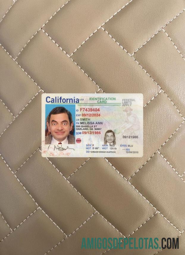 امریکہ California شناختی کارڈ فوٹو لک سامنے ماک اپ