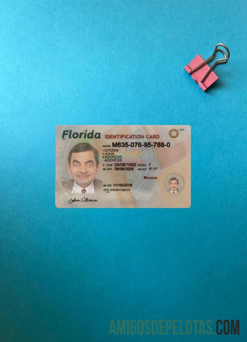 امریکہ Florida شناختی کارڈ فوٹو لک سامنے پیش نظارہ