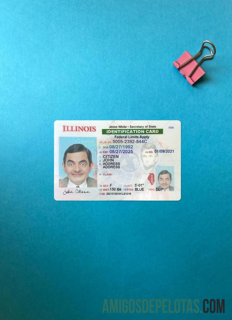 امریکہ Illinois شناختی کارڈ فوٹو لک سامنے پیش نظارہ