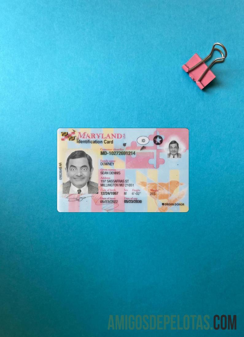 امریکہ Maryland شناختی کارڈ فوٹو لک سامنے پیش نظارہ