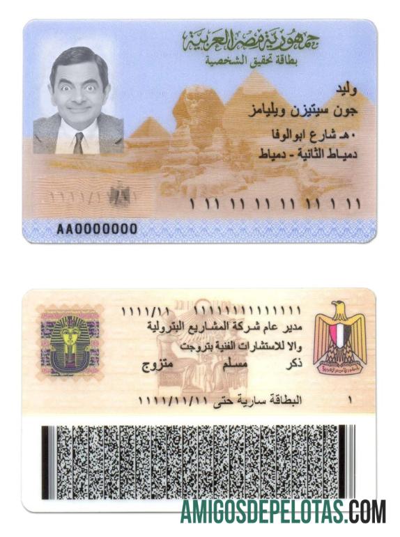 مصر شناختی ٹیمپلیٹ