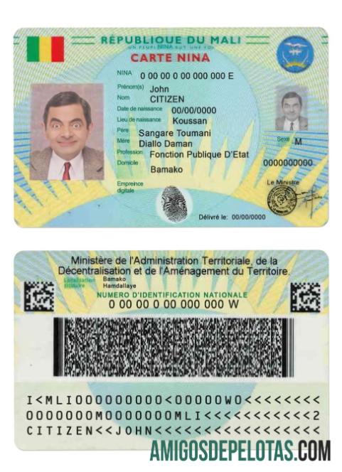 مالی Carte Nina نمونہ